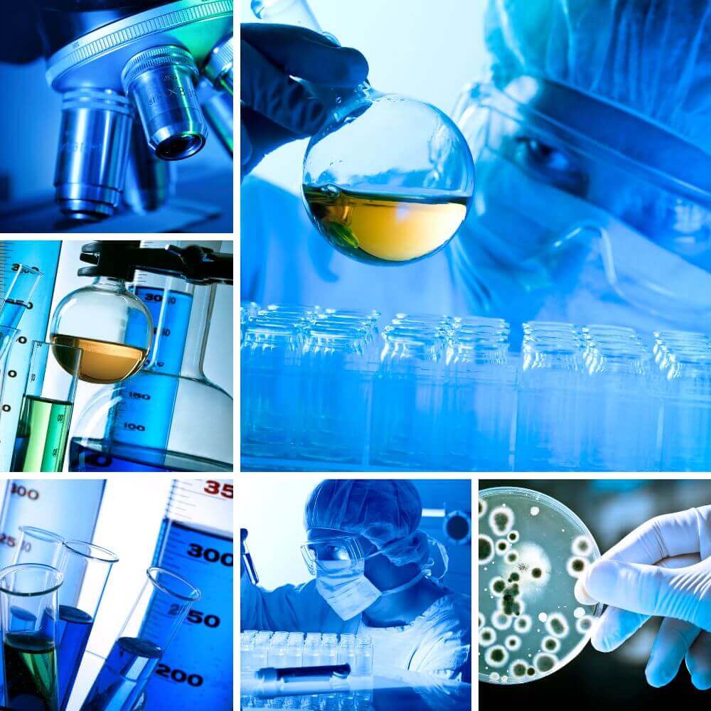 Laboratory Collage of AAMD Research