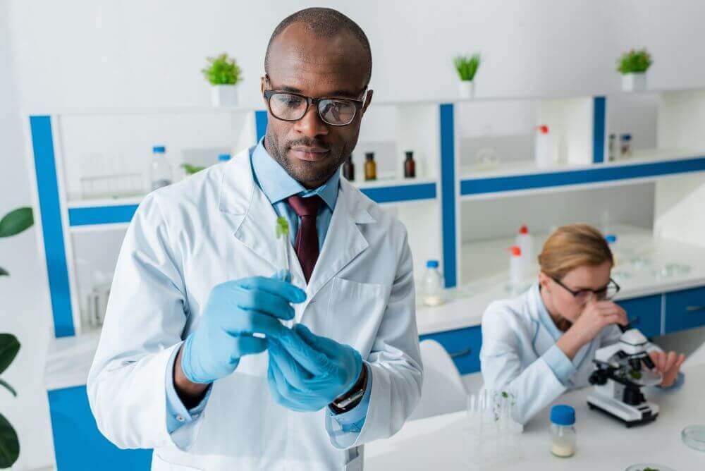 Selective focus of african american biologist holding test tube